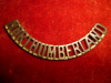 M65, The Northumberland Regiment Shoulder Title  
